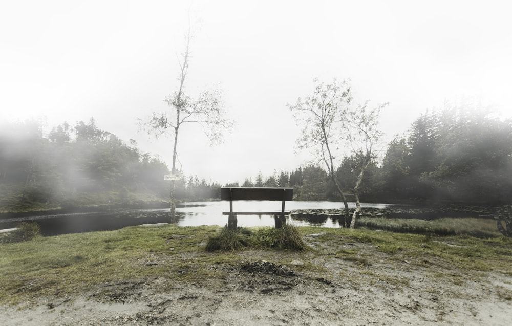 brown wooden bench near lake