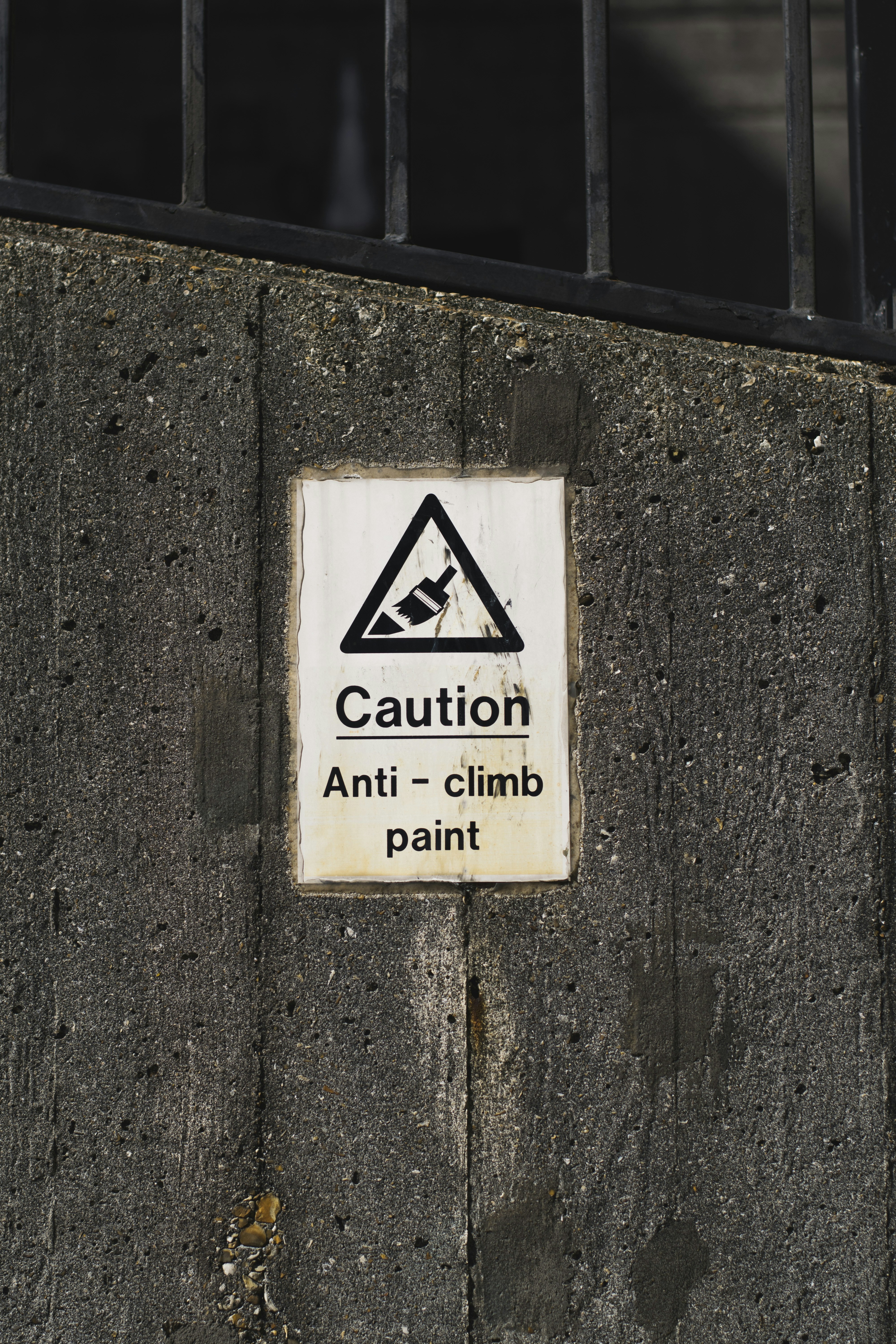 Musclelion Beware Pictures | Download Free Images on Unsplash