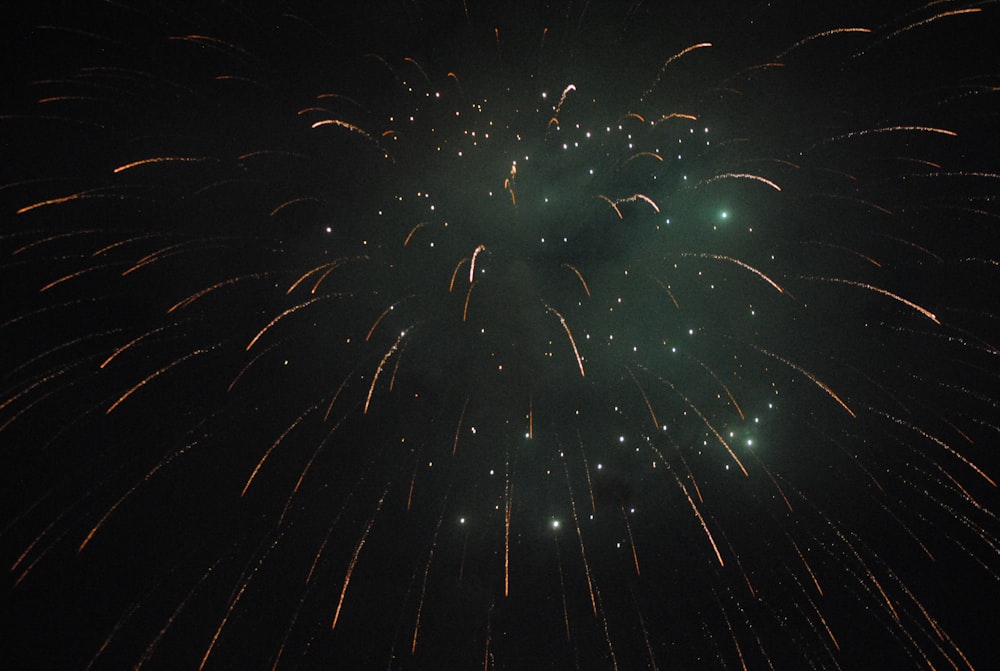 low angle photo of fireworks display