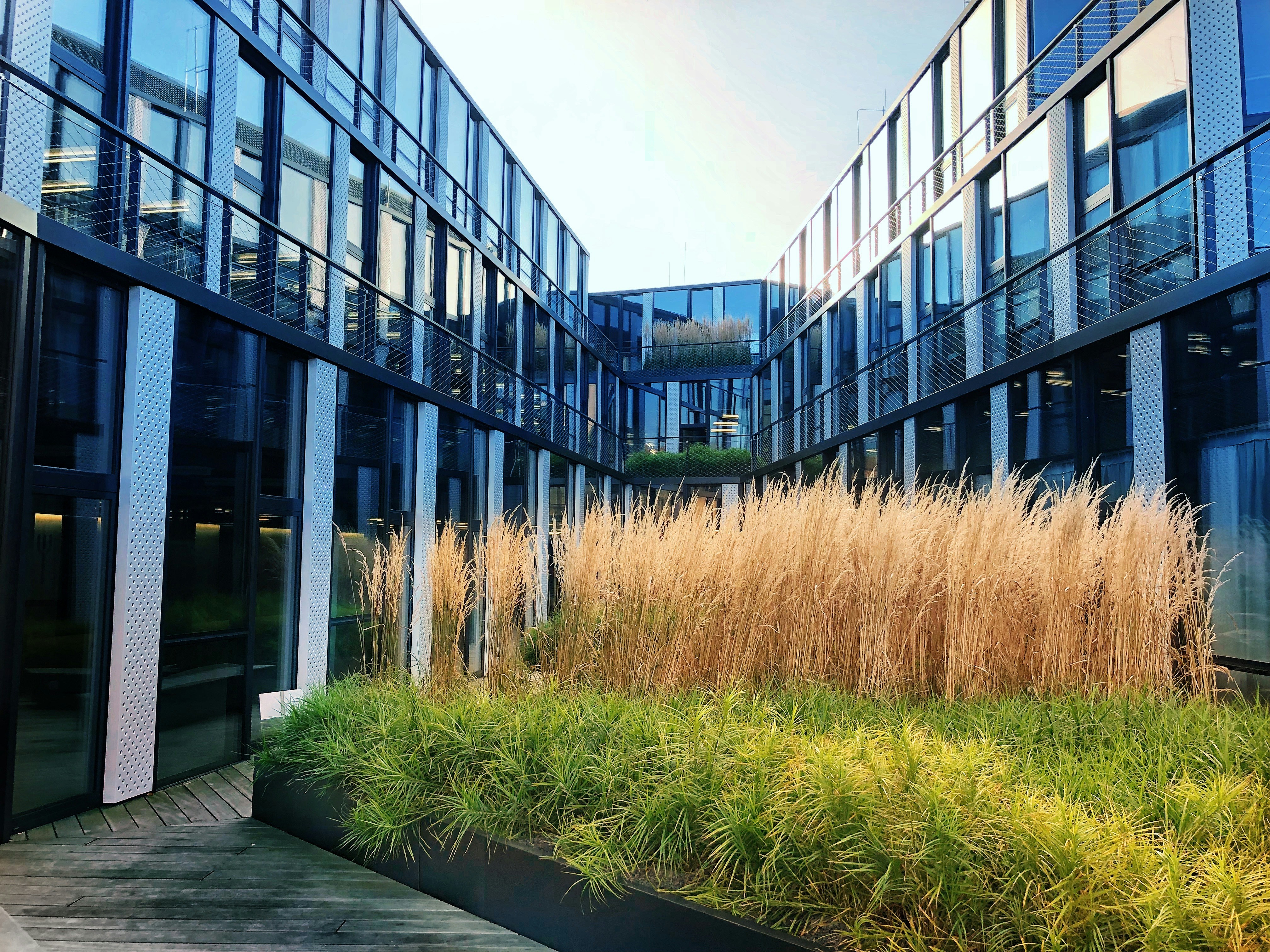 Green foliage framing a modern commercial facade