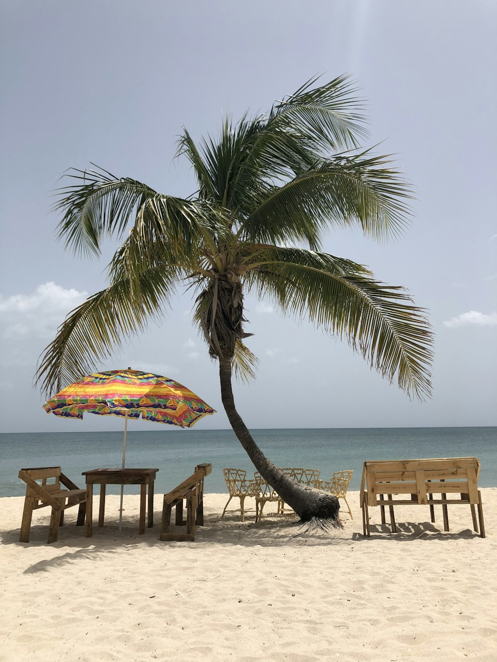 table and chairs near palm tree on seashore during daytime