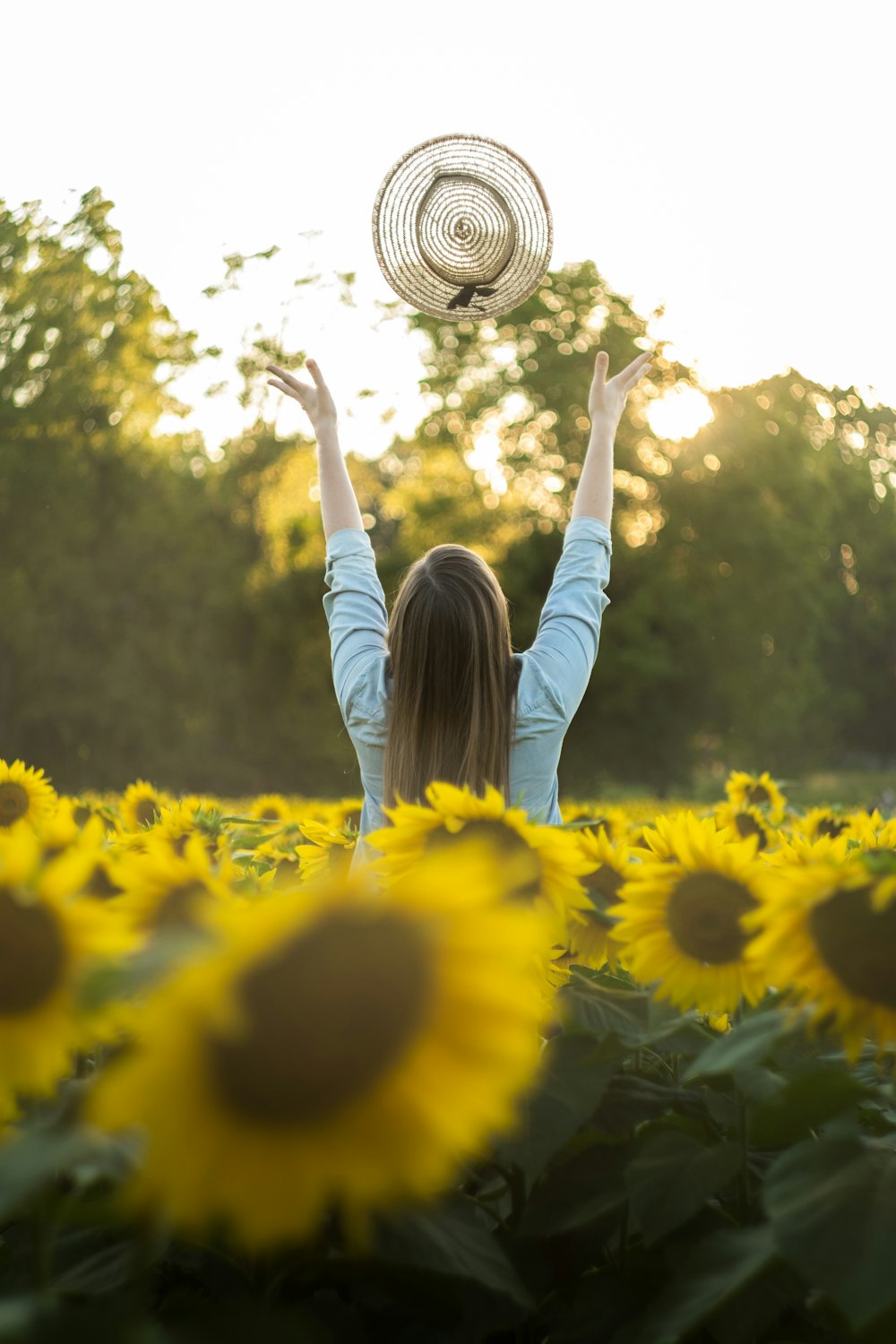 Frau steht im Sonnenblumenfeld und wirft seinen Hut