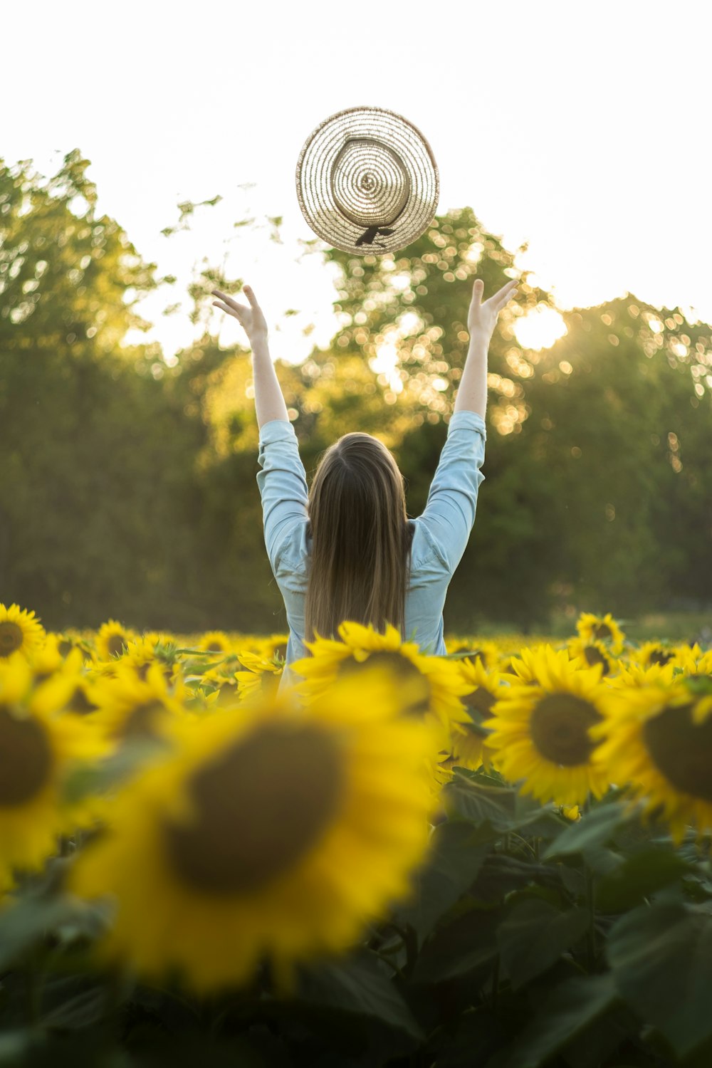 mulher em pé no campo de girassóis jogando seu chapéu