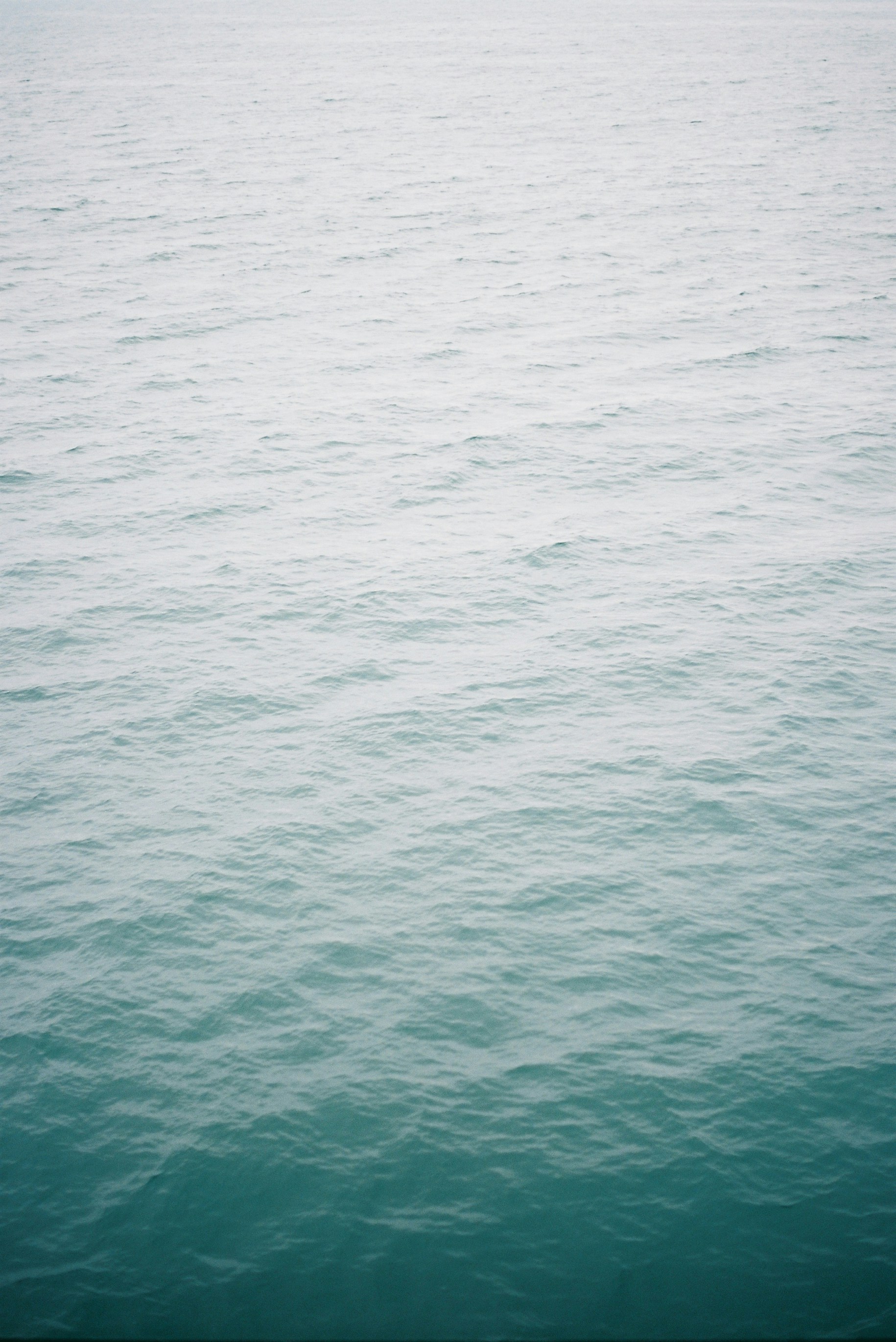 Photo by carlosjmartin