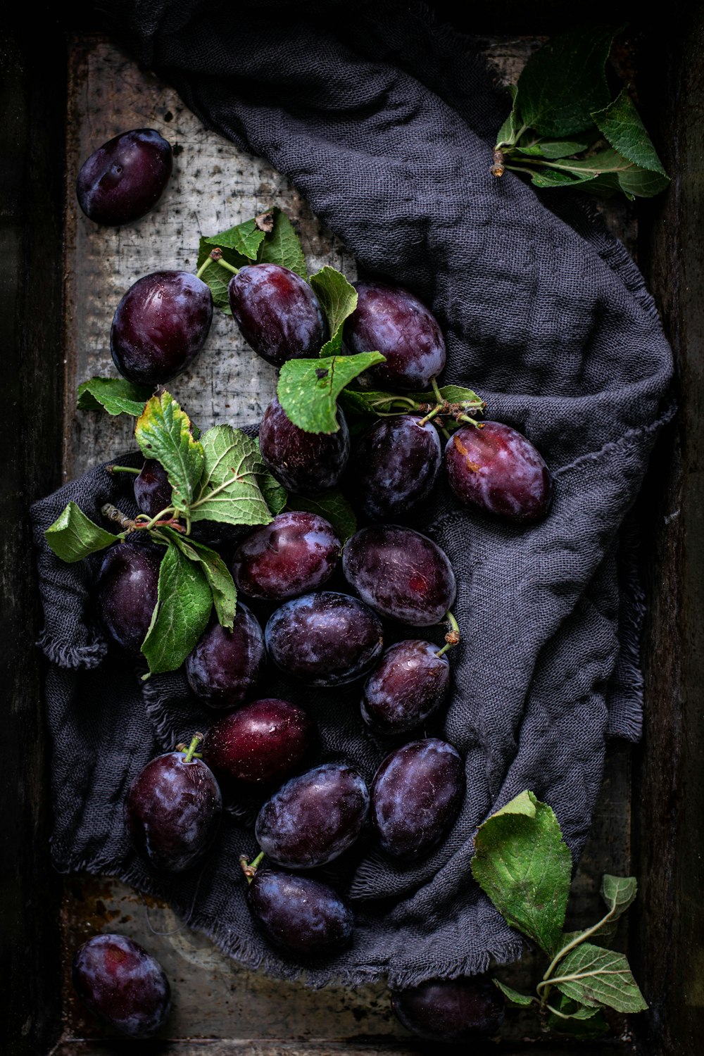 violet grapes