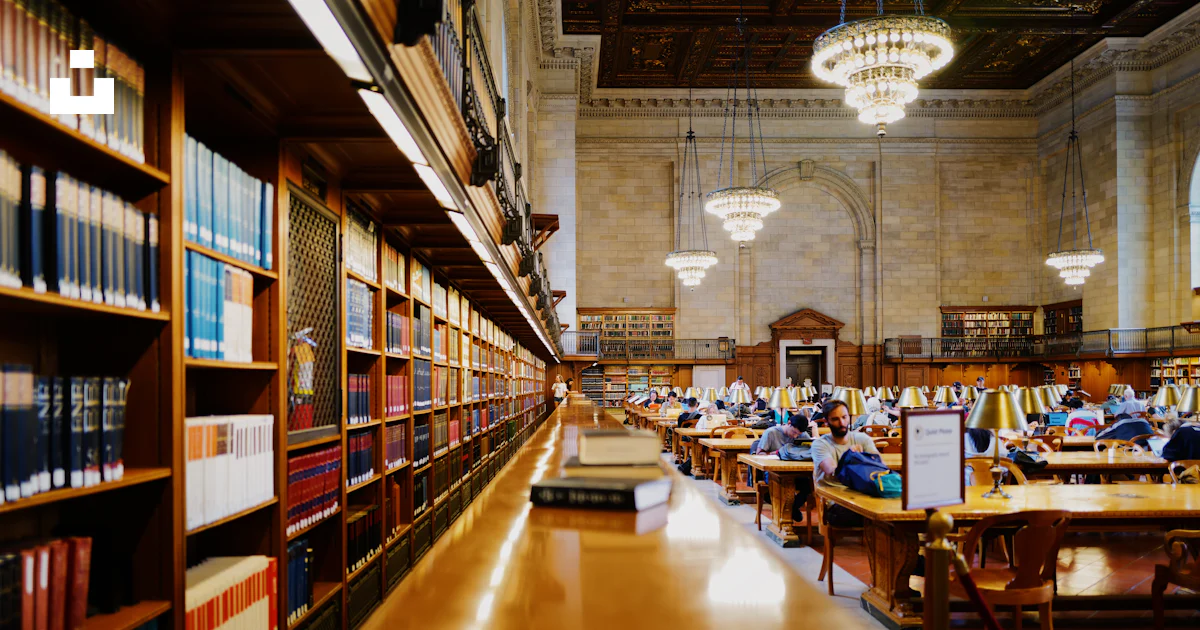 People inside library with chandeliers photo – Free Study area Image on ...
