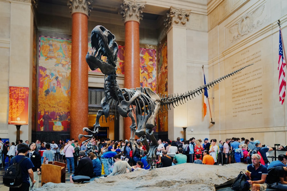 close-up photography of dinosaur skeleton statue