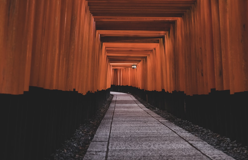 architectural photography of hallway