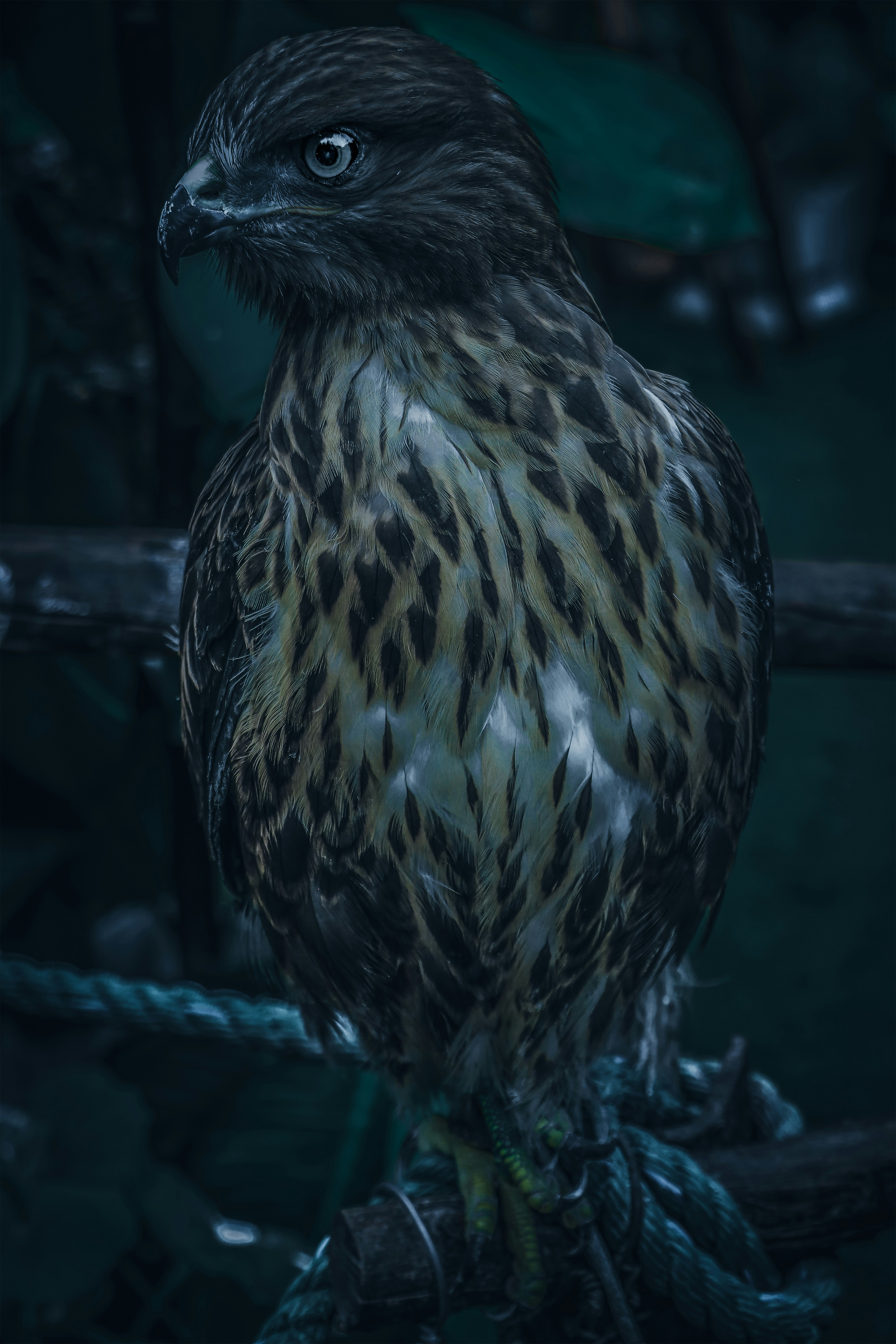 photo-1568392505805-54183fc6e3c6?ixid=M3wxMjA3fDB8MXxzZWFyY2h8MTF8fHRoZSUyMGJpcmQlMjB0aGF0JTIwZHJpbmtzJTIwdGVhcnMlMjB2aWRlbyUyMGdhbWV8ZW58MHx8fHwxNzY0NzE0MDU3fDA\u0026ixlib=rb-4.1.0