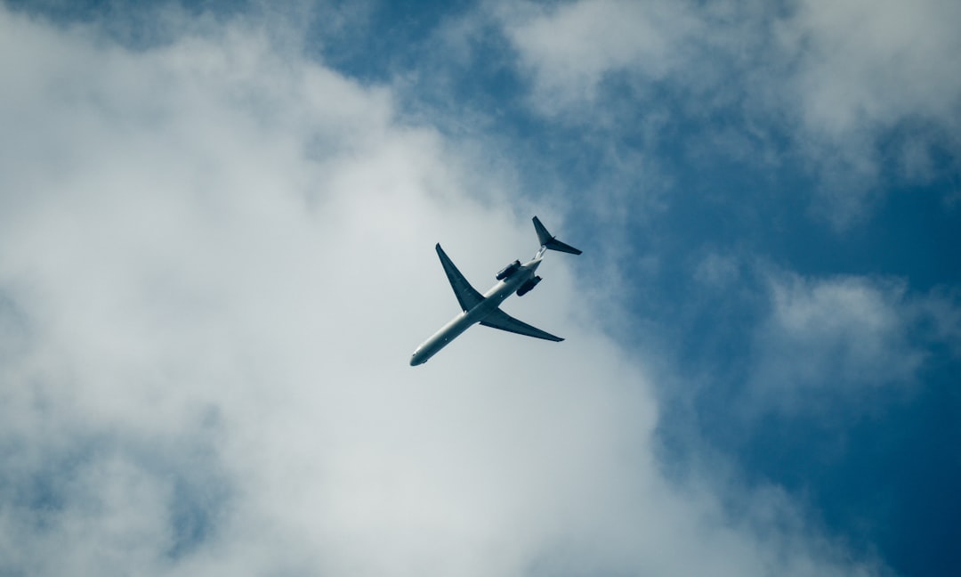 silhouette of plane