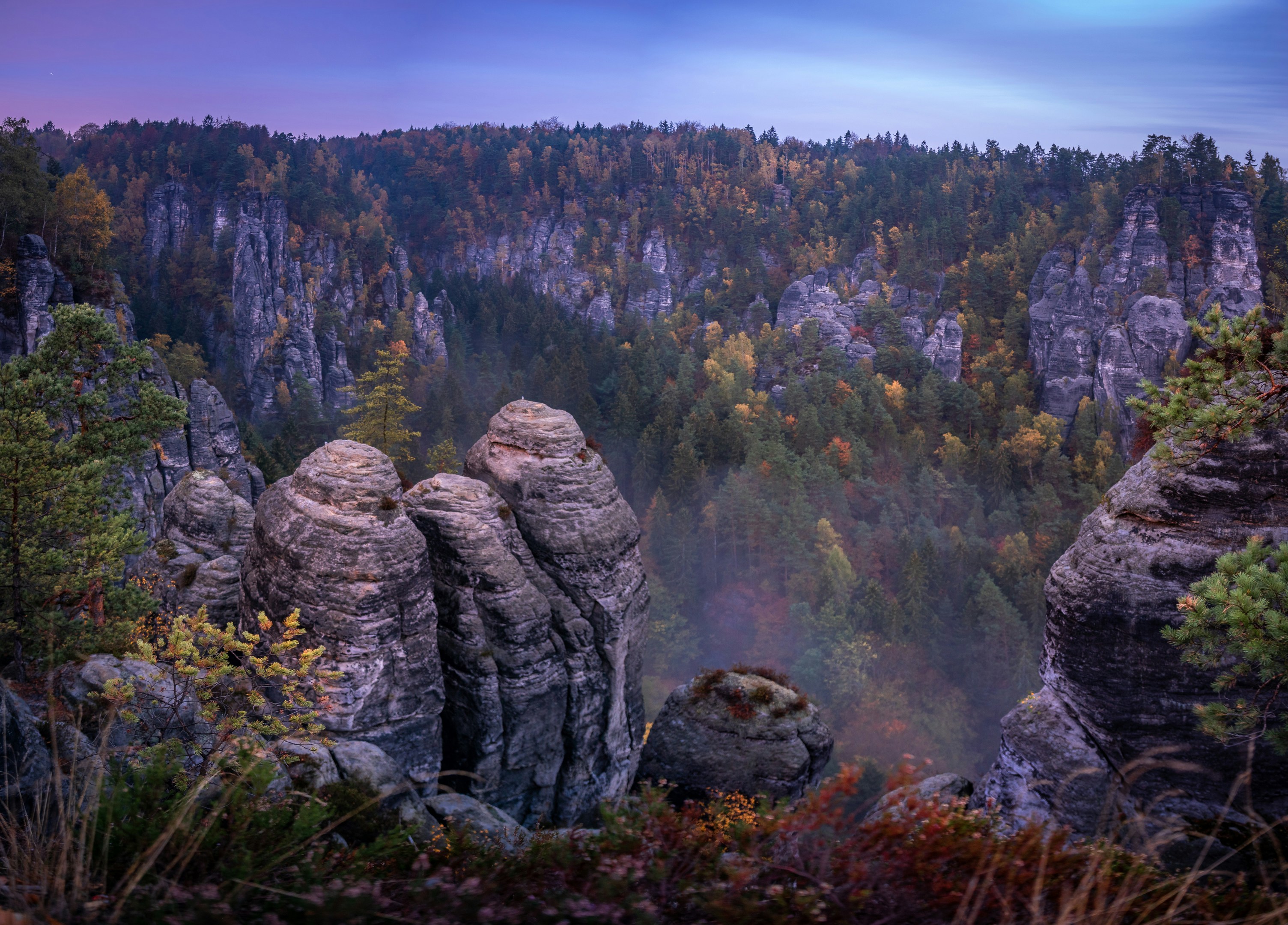 brown mountain covered by trees, Towers - Saxony Switzerland