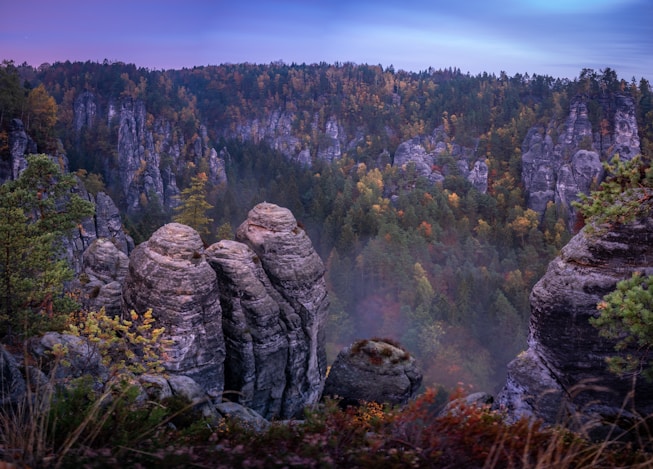 brown mountain covered by trees