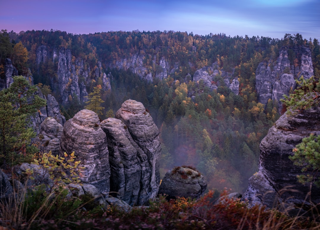 brown mountain covered by trees, Towers - Saxony Switzerland