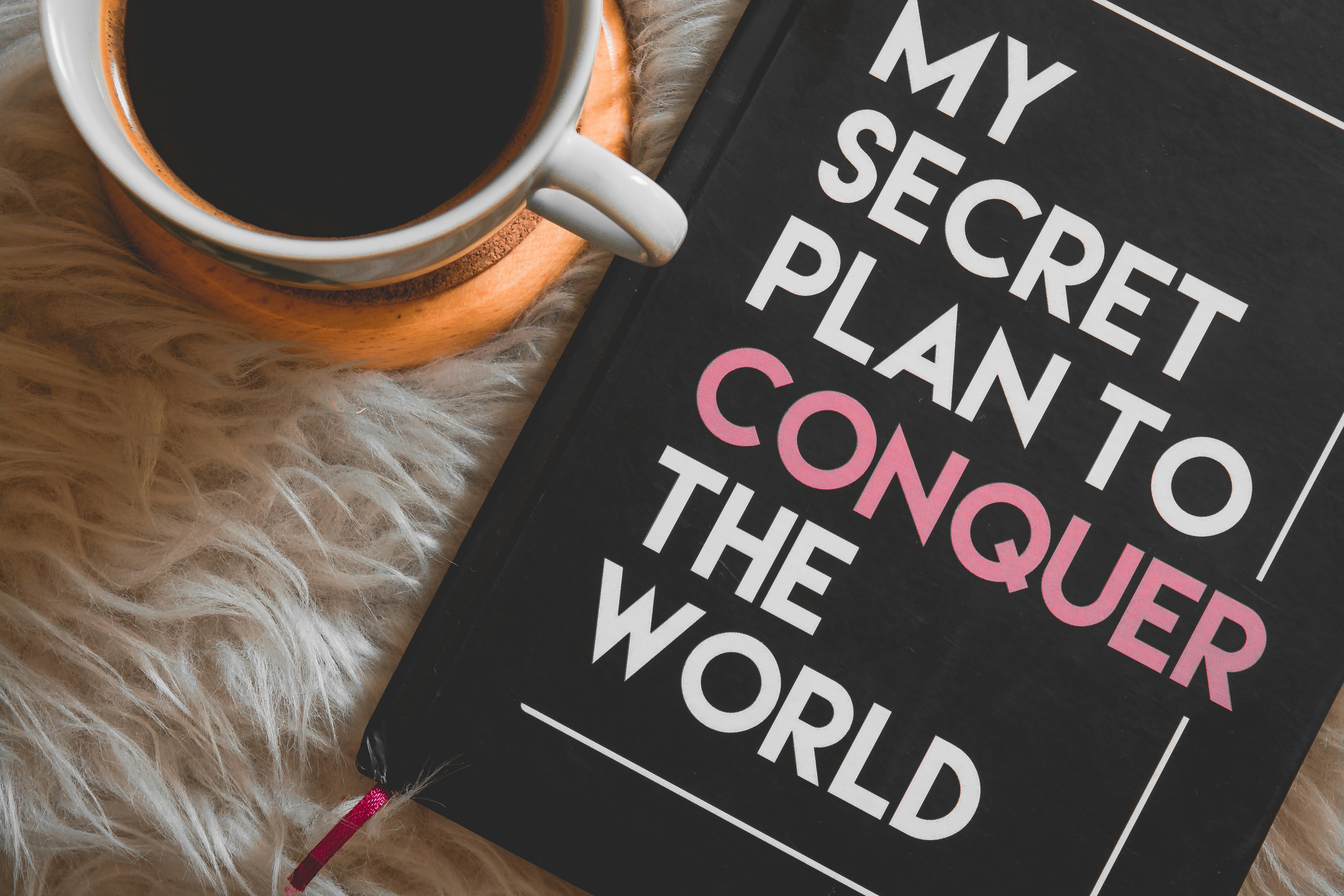 My Secret Plan