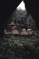 Several thatched-roof huts are nestled within a dense, lush rainforest. The foreground and surroundings are filled with rich green vegetation, including large ferns and palm trees. The scene is viewed through a natural frame of overhanging leaves, adding a sense of seclusion and tranquility.