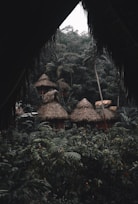 Several thatched-roof huts are nestled within a dense, lush rainforest. The foreground and surroundings are filled with rich green vegetation, including large ferns and palm trees. The scene is viewed through a natural frame of overhanging leaves, adding a sense of seclusion and tranquility.