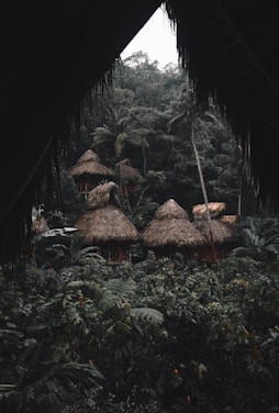 Several thatched-roof huts are nestled within a dense, lush rainforest. The foreground and surroundings are filled with rich green vegetation, including large ferns and palm trees. The scene is viewed through a natural frame of overhanging leaves, adding a sense of seclusion and tranquility.