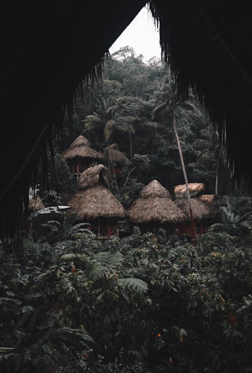 Several thatched-roof huts are nestled within a dense, lush rainforest. The foreground and surroundings are filled with rich green vegetation, including large ferns and palm trees. The scene is viewed through a natural frame of overhanging leaves, adding a sense of seclusion and tranquility.