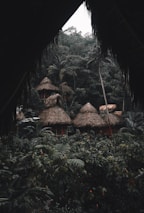 Several thatched-roof huts are nestled within a dense, lush rainforest. The foreground and surroundings are filled with rich green vegetation, including large ferns and palm trees. The scene is viewed through a natural frame of overhanging leaves, adding a sense of seclusion and tranquility.