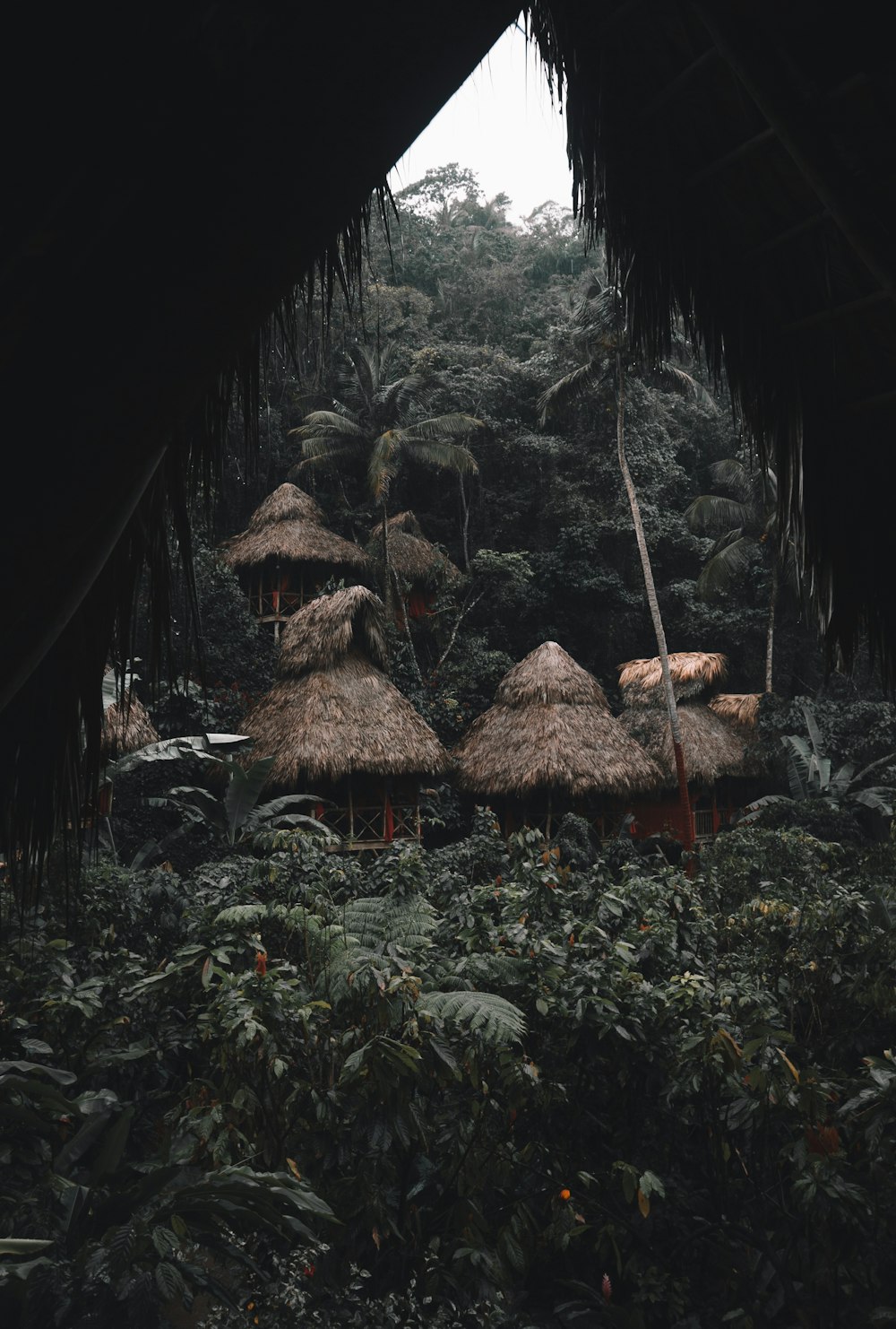 Casas de paja marrón rodeadas de árboles altos y verdes