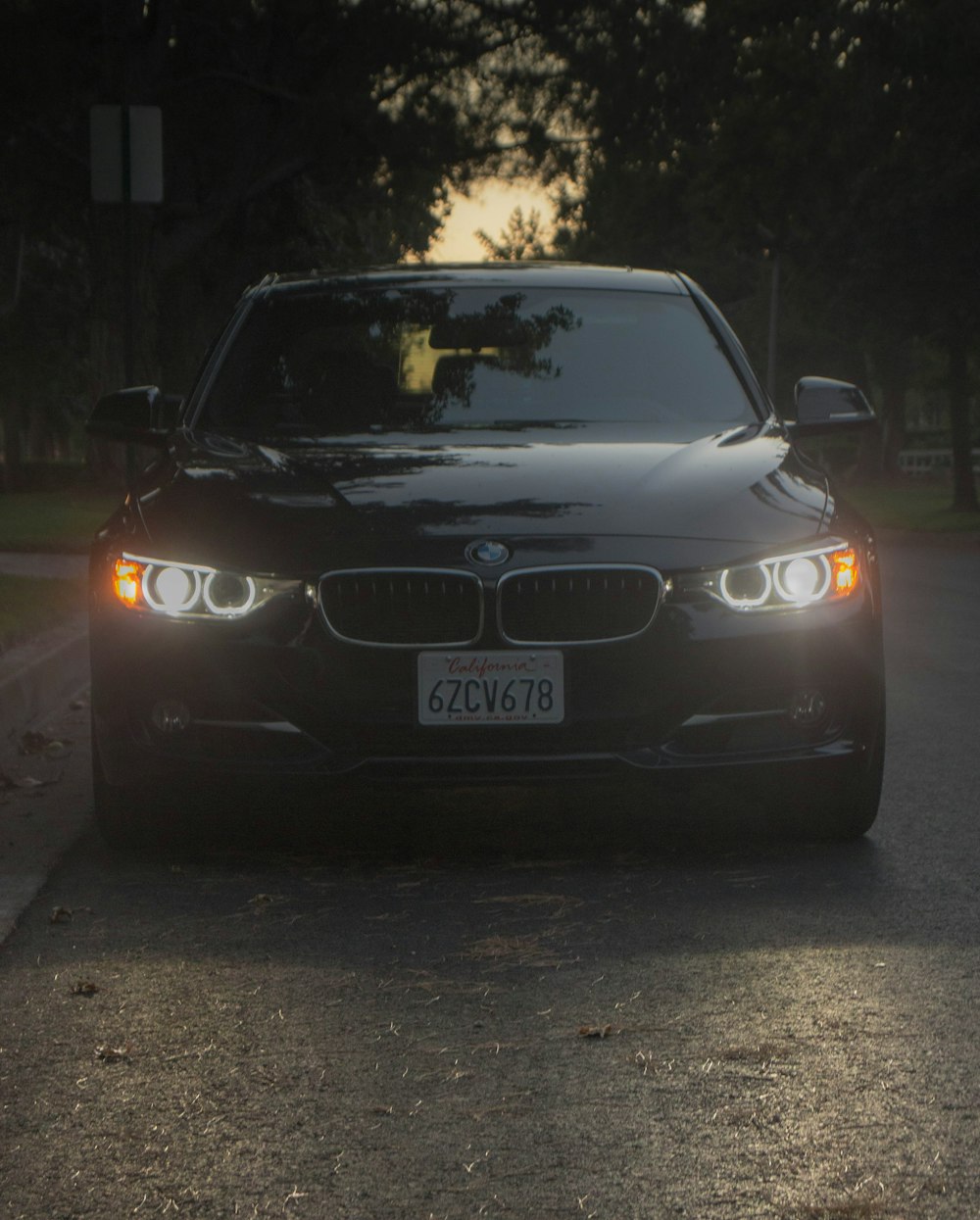 black car parked near tree at night