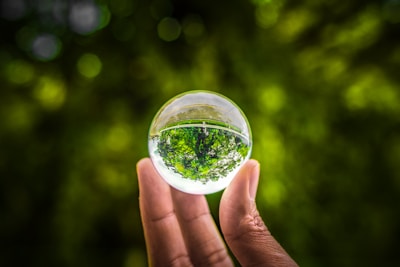 a hand holding a glass ball with a tree inside of it