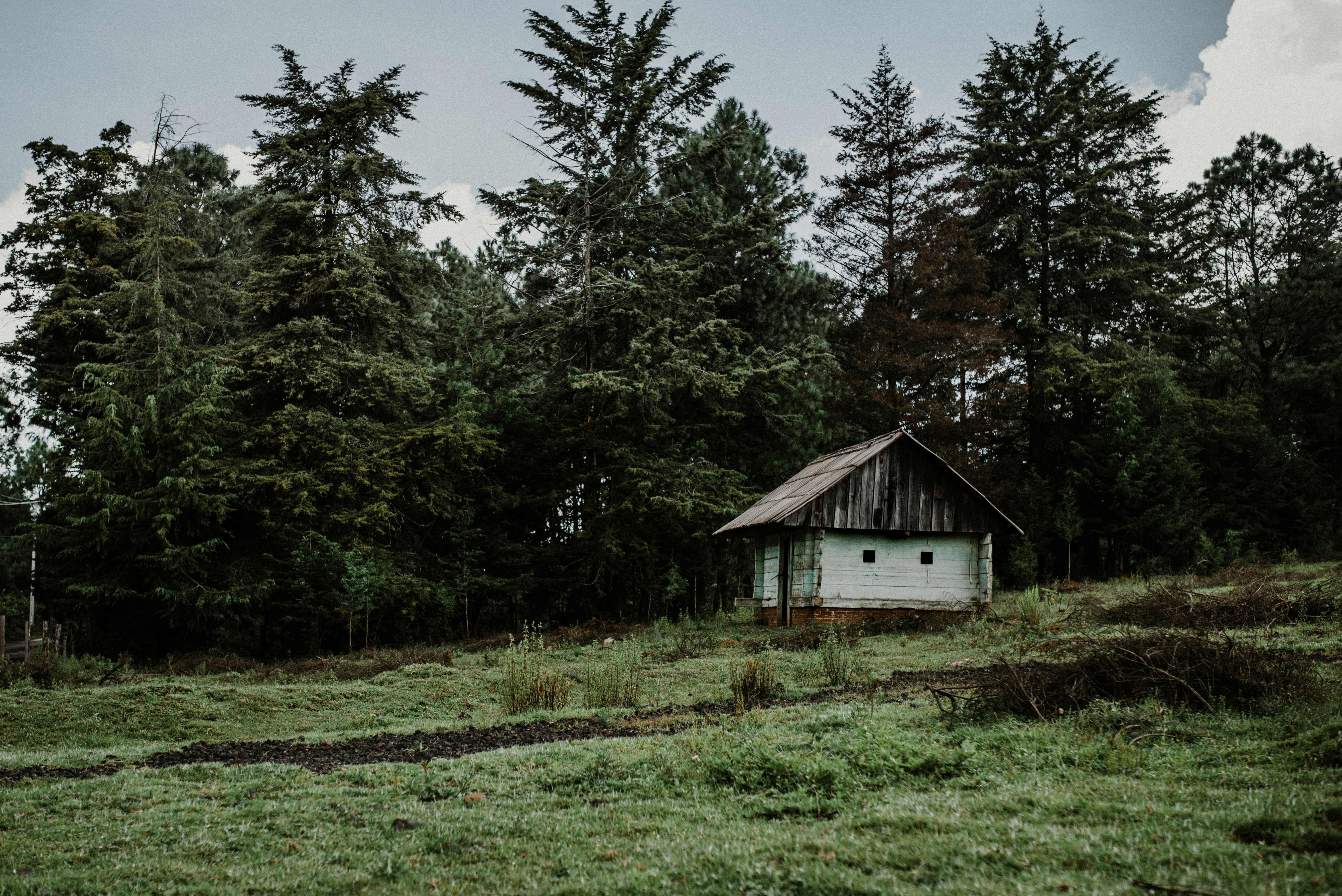 Photo by brunocervera