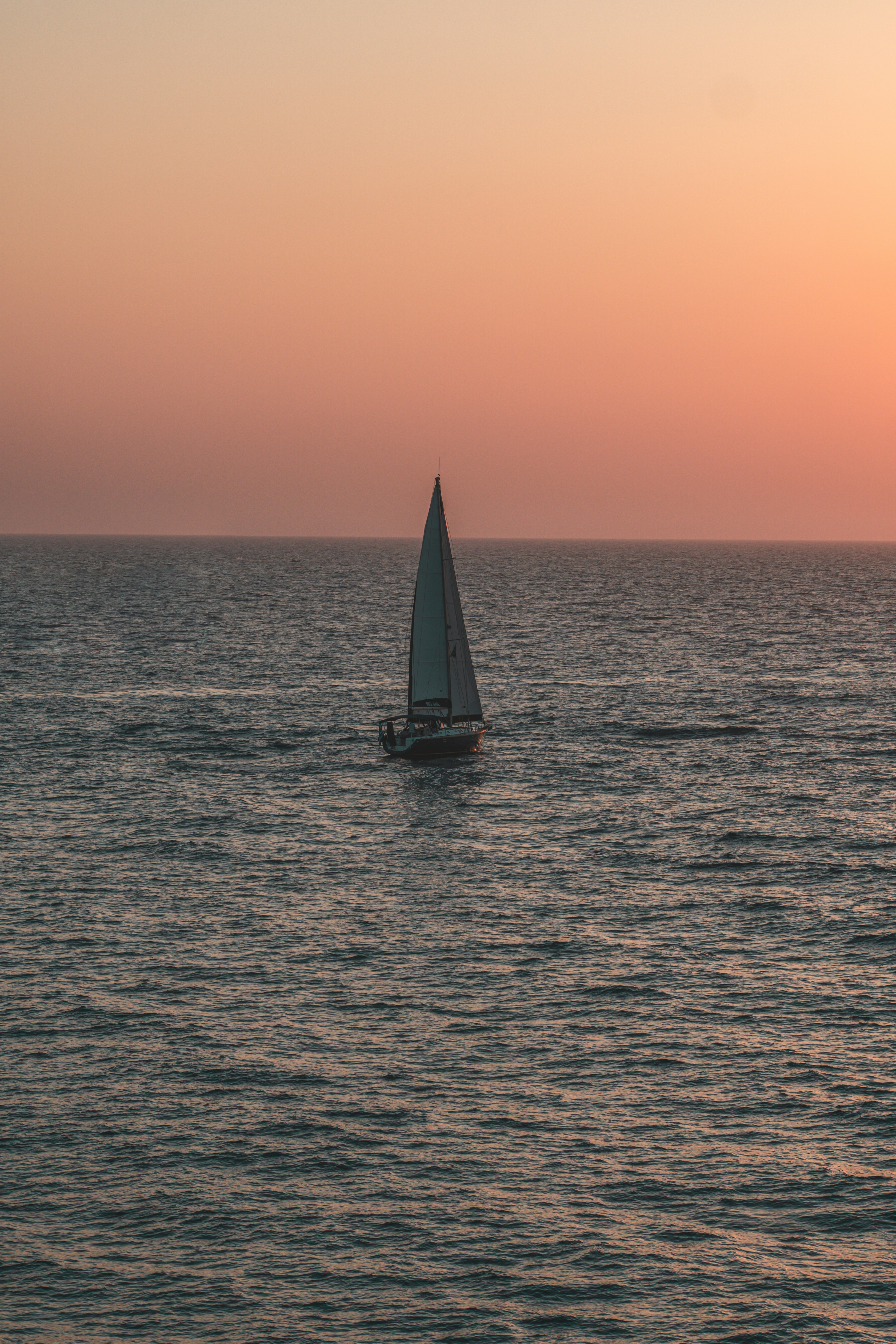 Photo by dav_billings