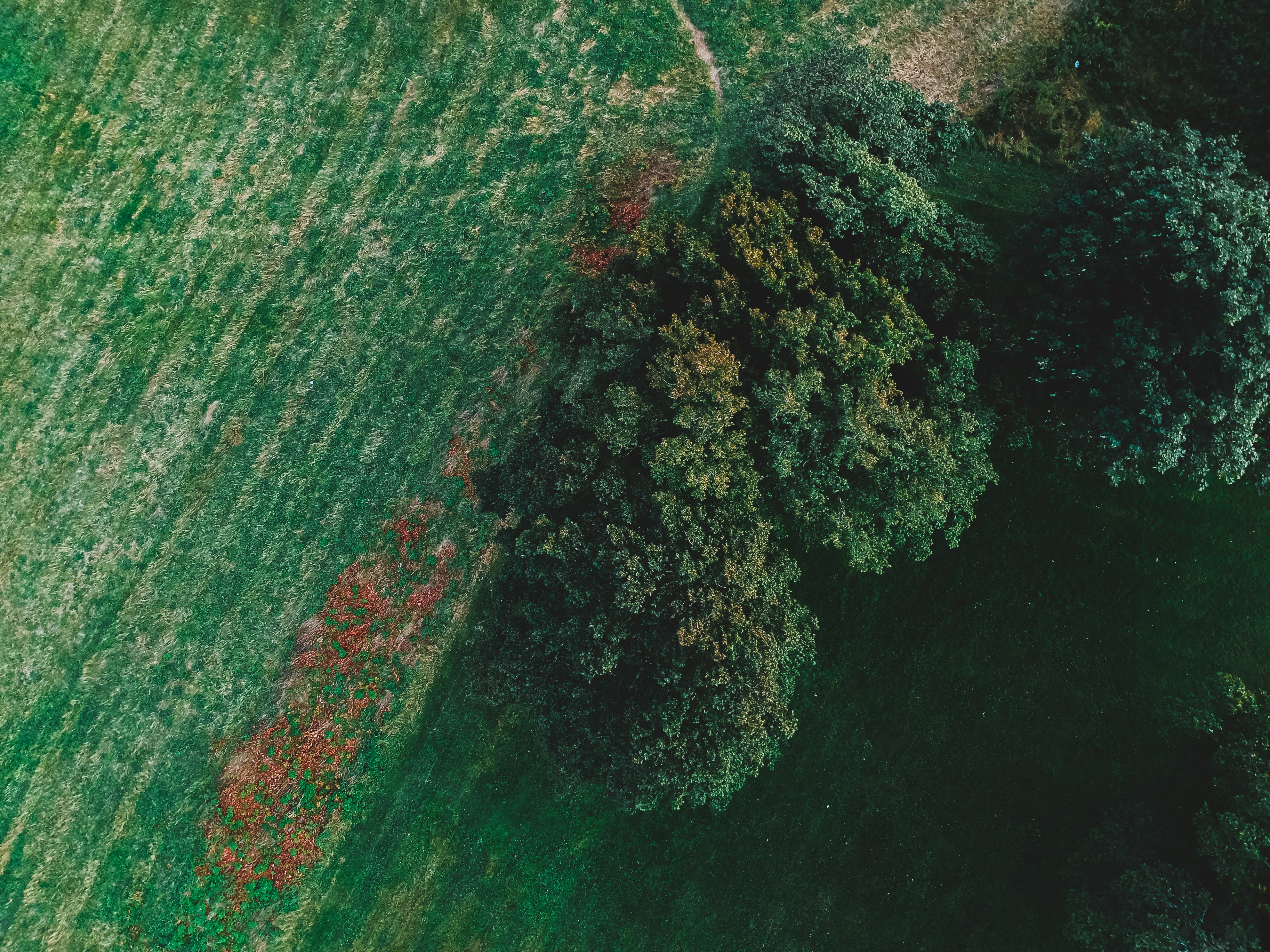 Photo by introspectivedsgn