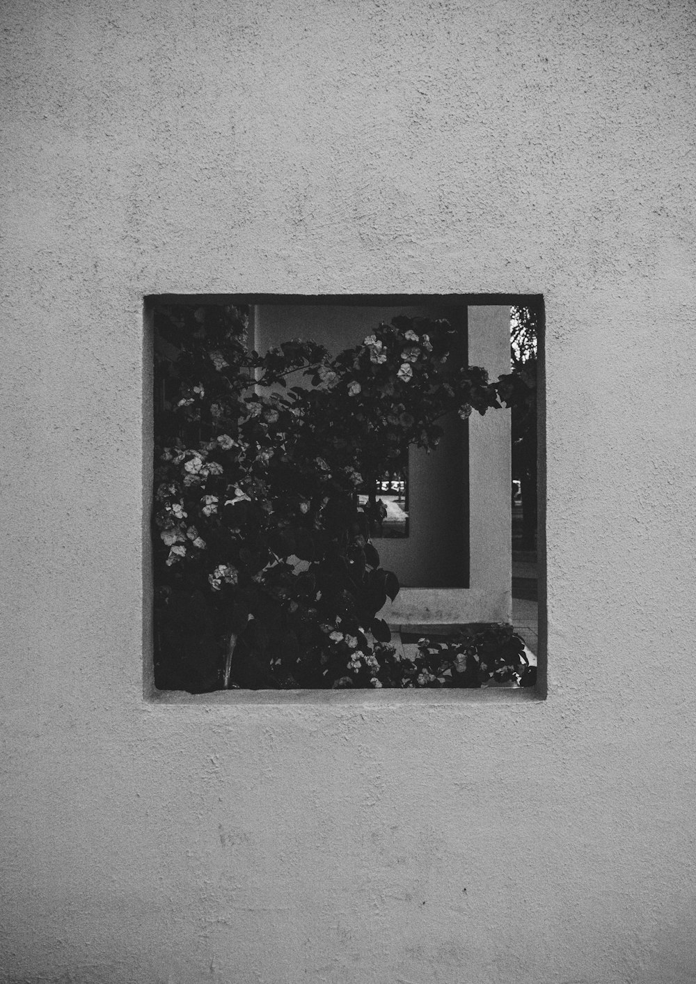 grayscale photo of flowers and plants near building