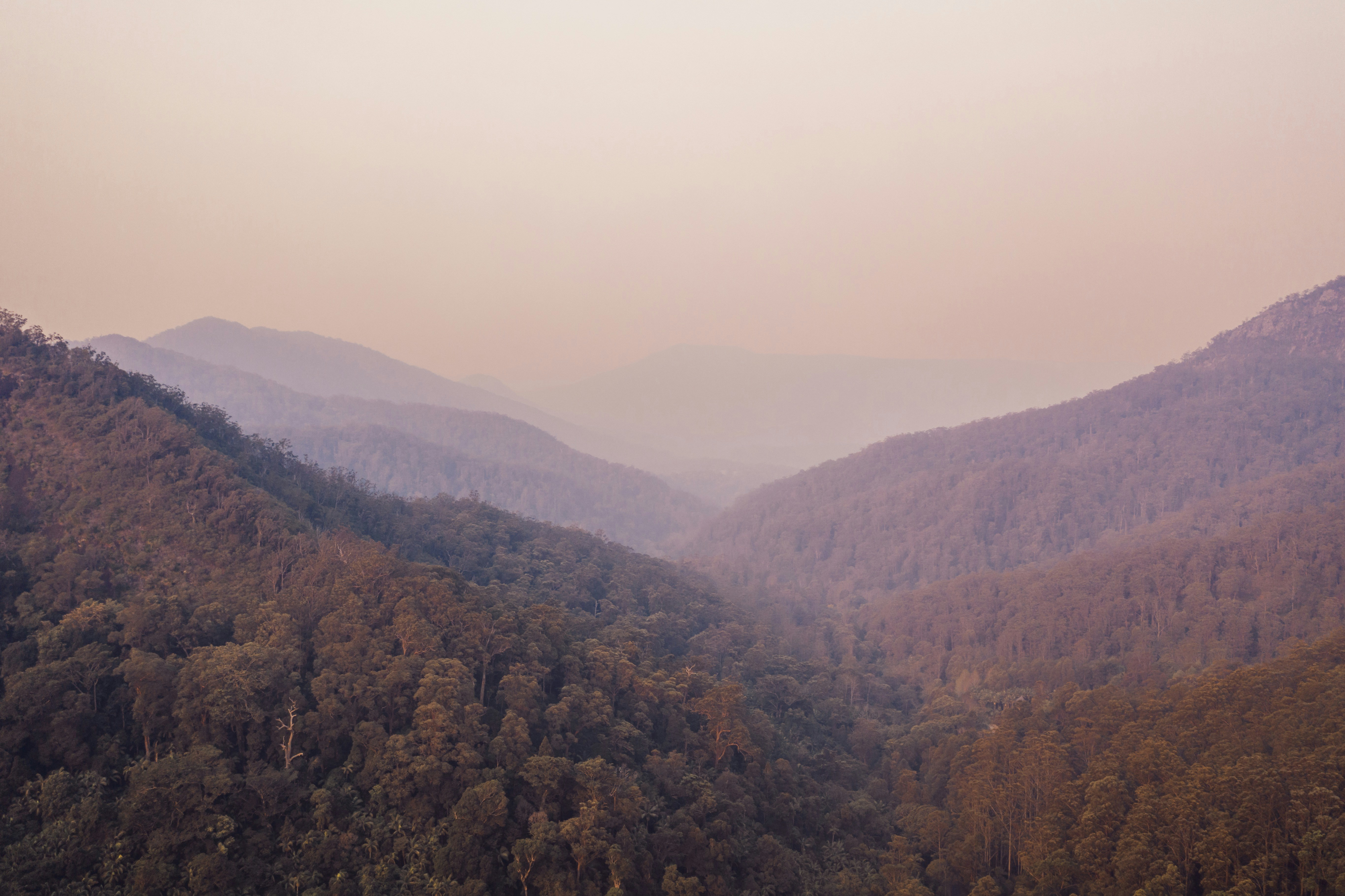 Photo by joshwithers