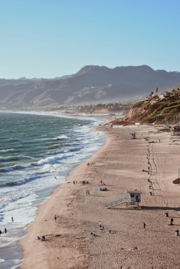 people on seashore during daytime
