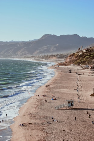 people on seashore during daytime