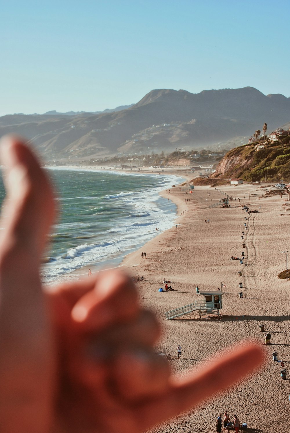 people on beach shore