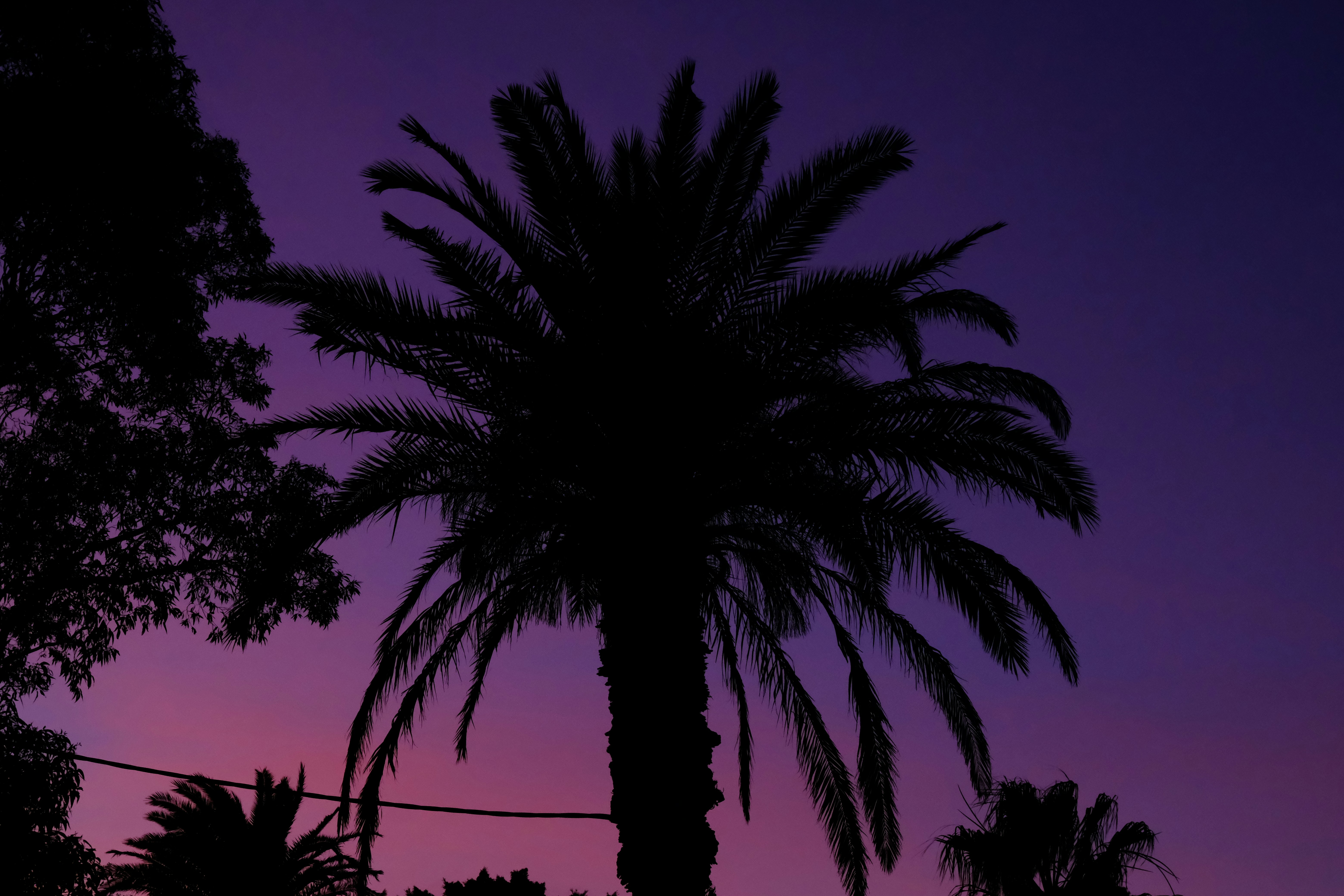 Photo by msohebzaidi