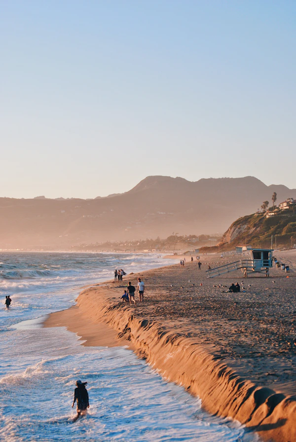 Golden sunset over the Pacific Ocean viewed from a clifftop park with palm trees