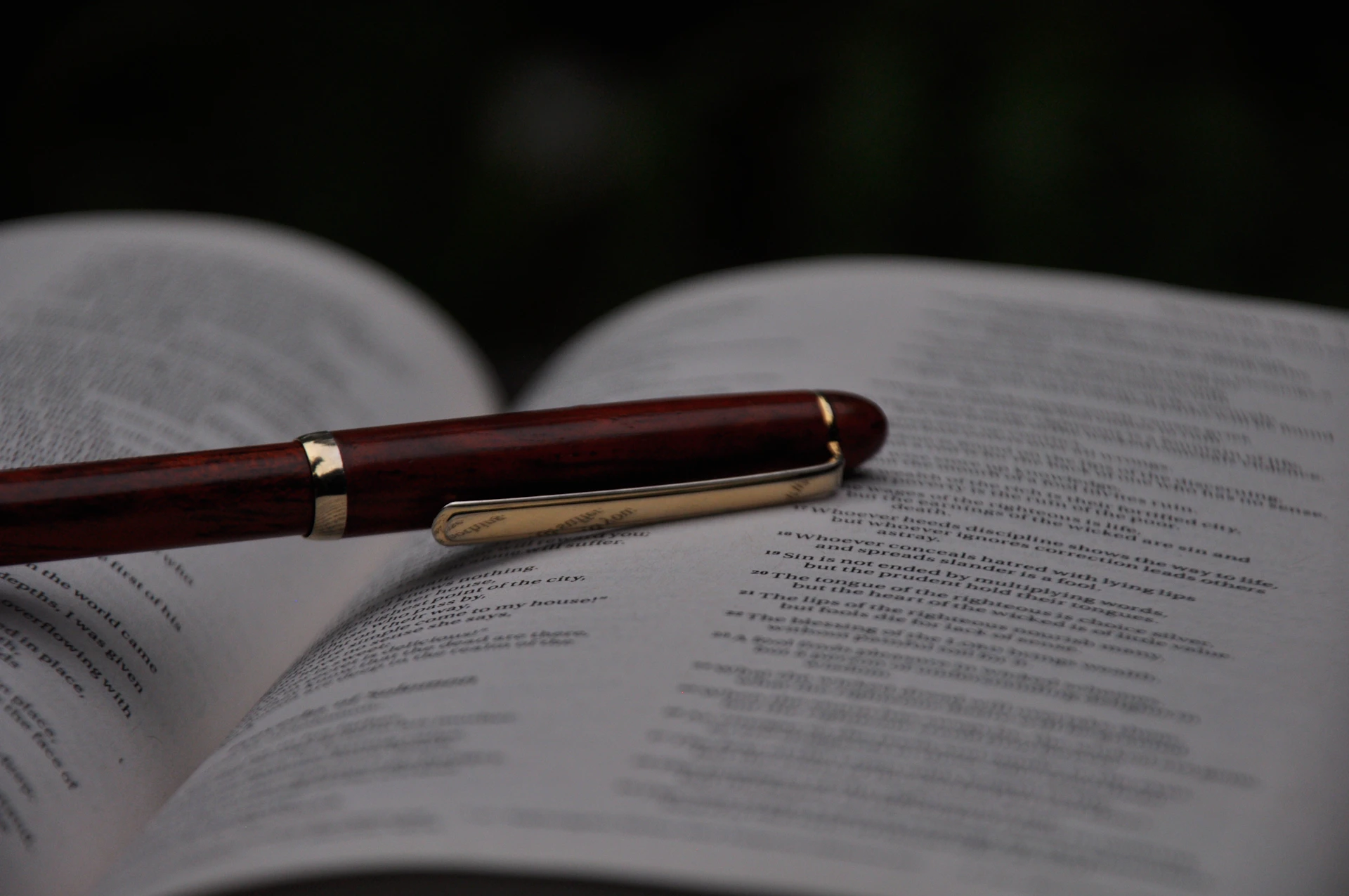 focus photography of red pen