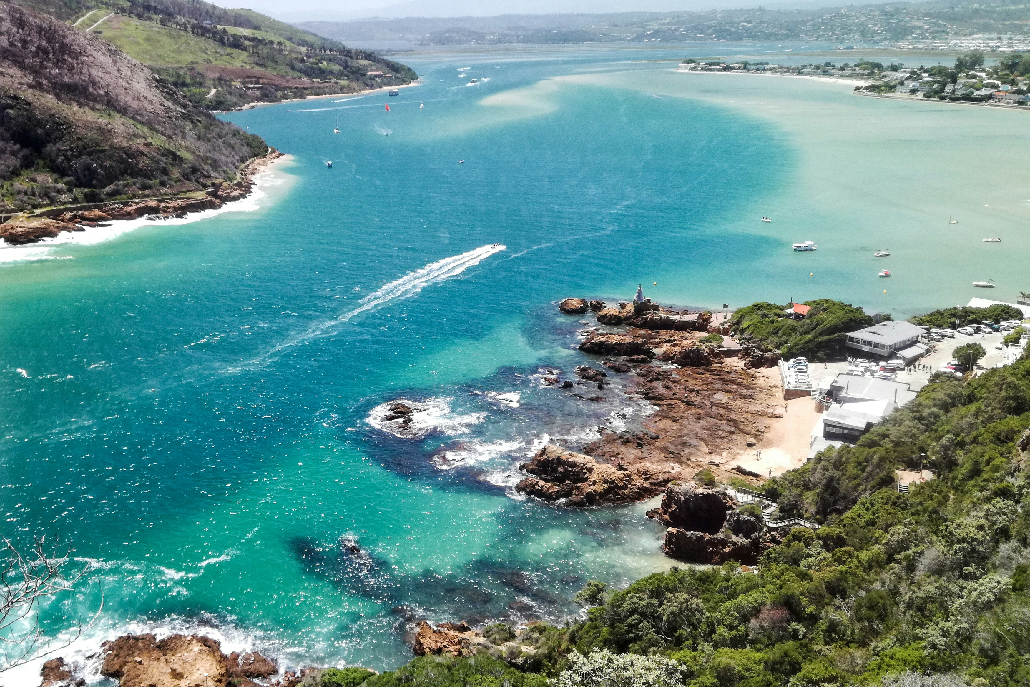 calm water beside green trees