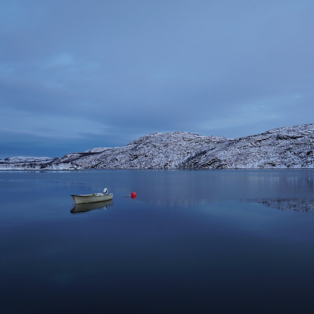 white boat on blue body of water