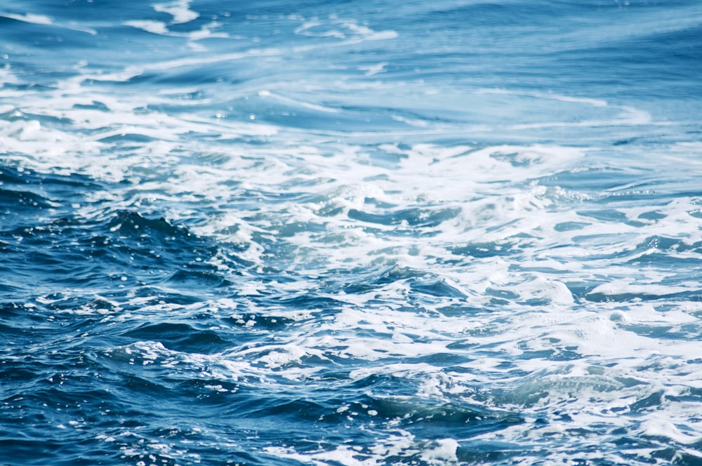 ocean water during daytime