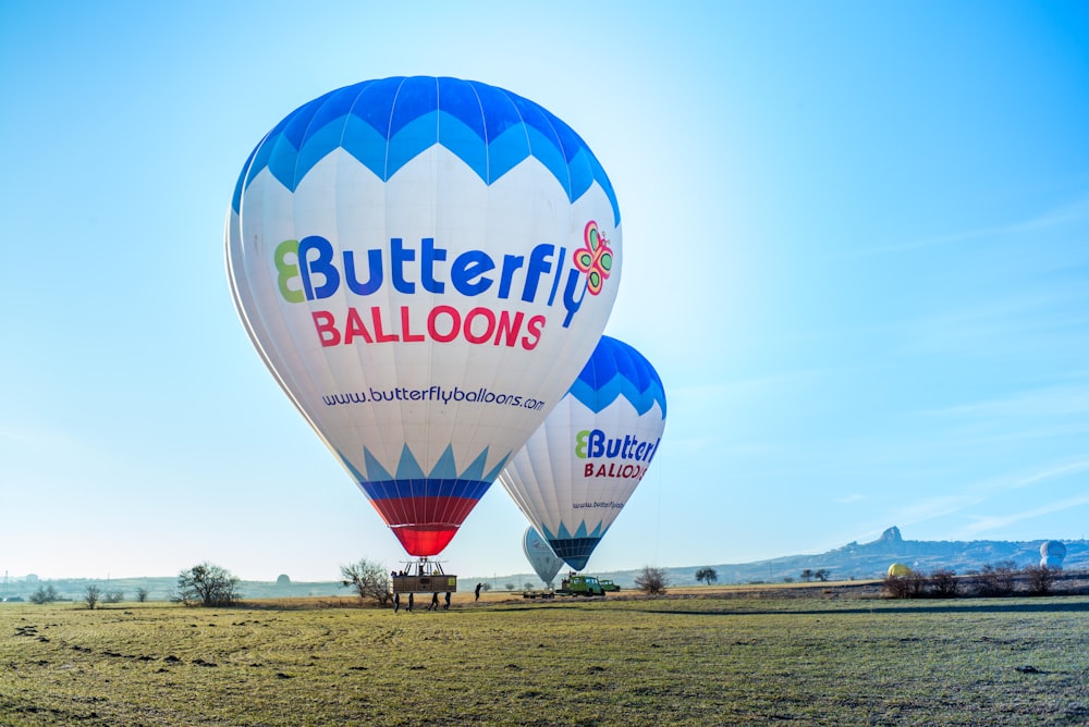 blue and white hot air balloon