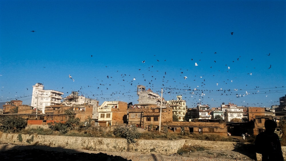 brown houses under blue sky