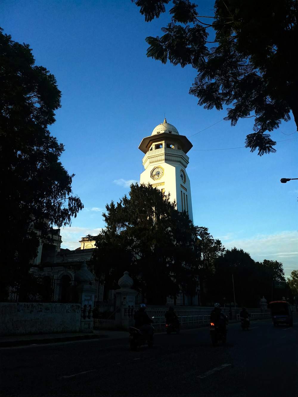 white cathedral near trees