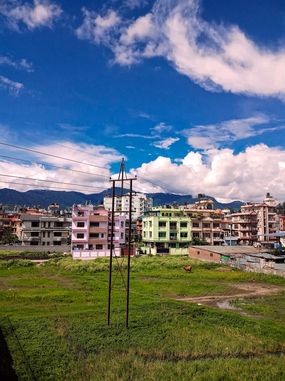 beige and brown concrete buildings during daytime