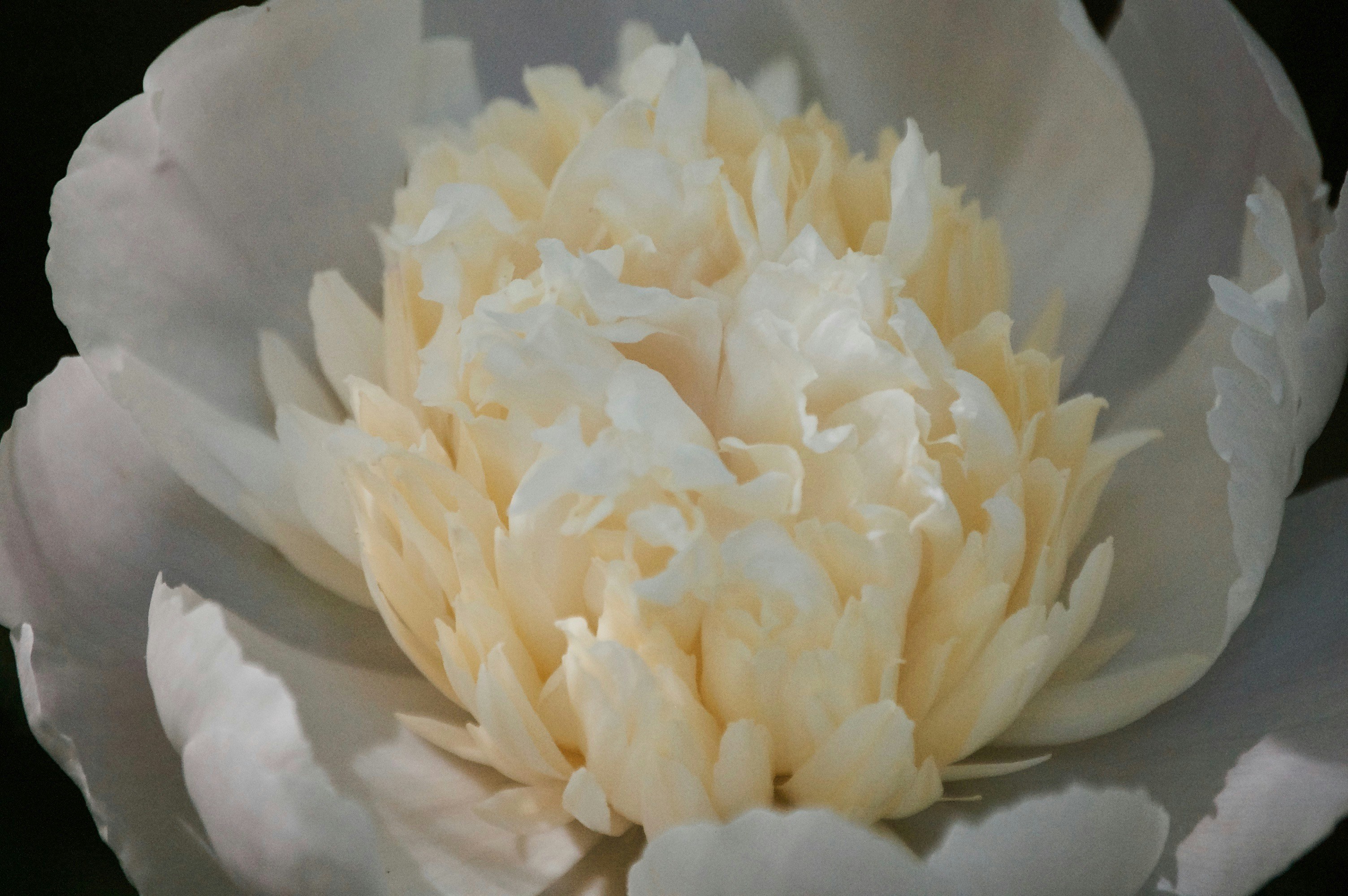 Photo by valerieblanchett