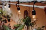 Warm glowing light bulbs hang along a wooden beam, casting a cozy atmosphere over surrounding green plants. The setup suggests a blend of nature and rustic charm, likely in an outdoor or garden setting.