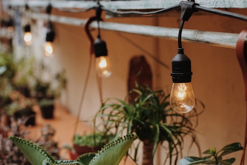 Warm glowing light bulbs hang along a wooden beam, casting a cozy atmosphere over surrounding green plants. The setup suggests a blend of nature and rustic charm, likely in an outdoor or garden setting.