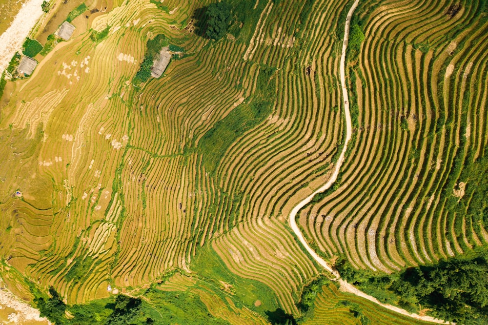 aerial photo of mountain