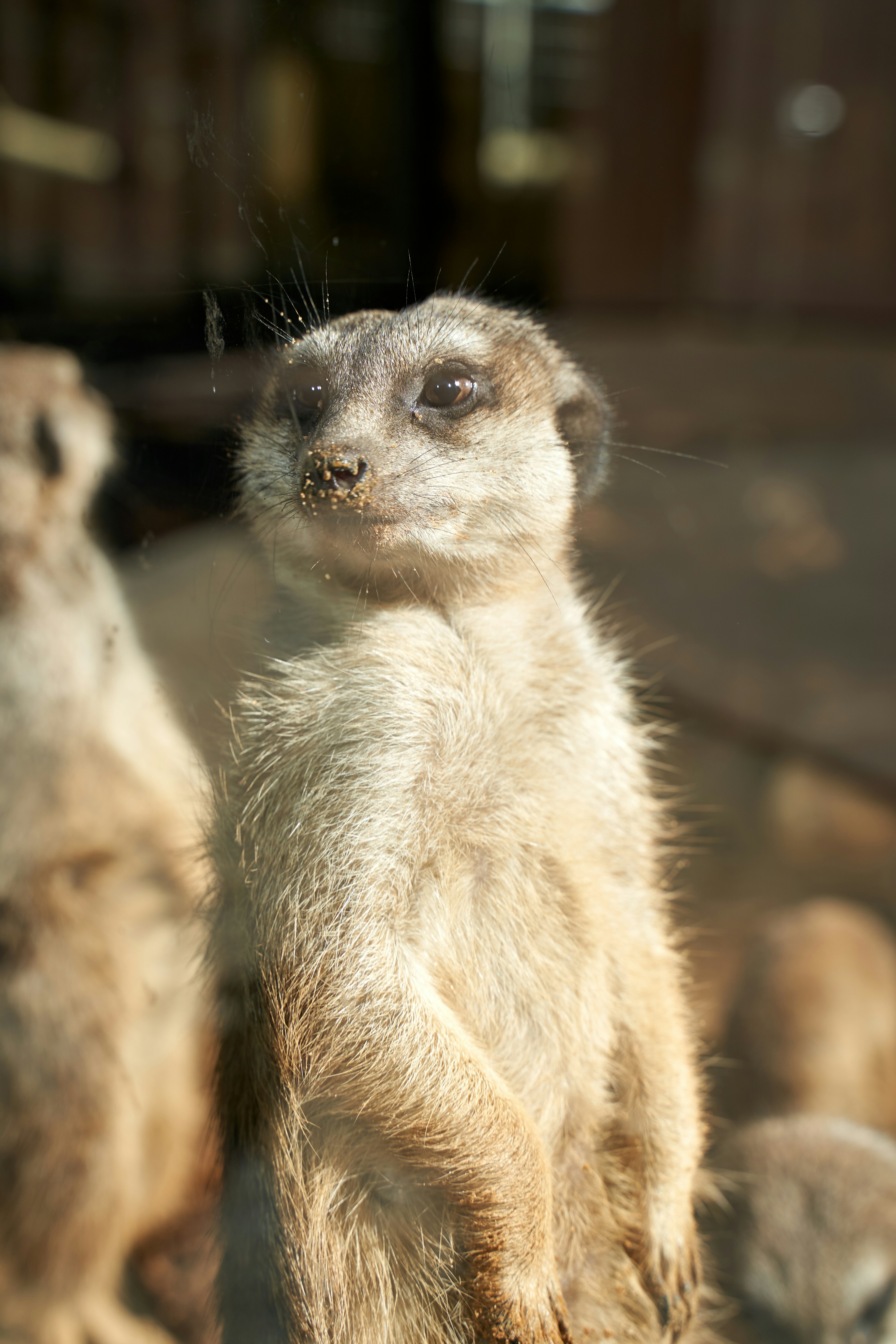 Photo by christianem