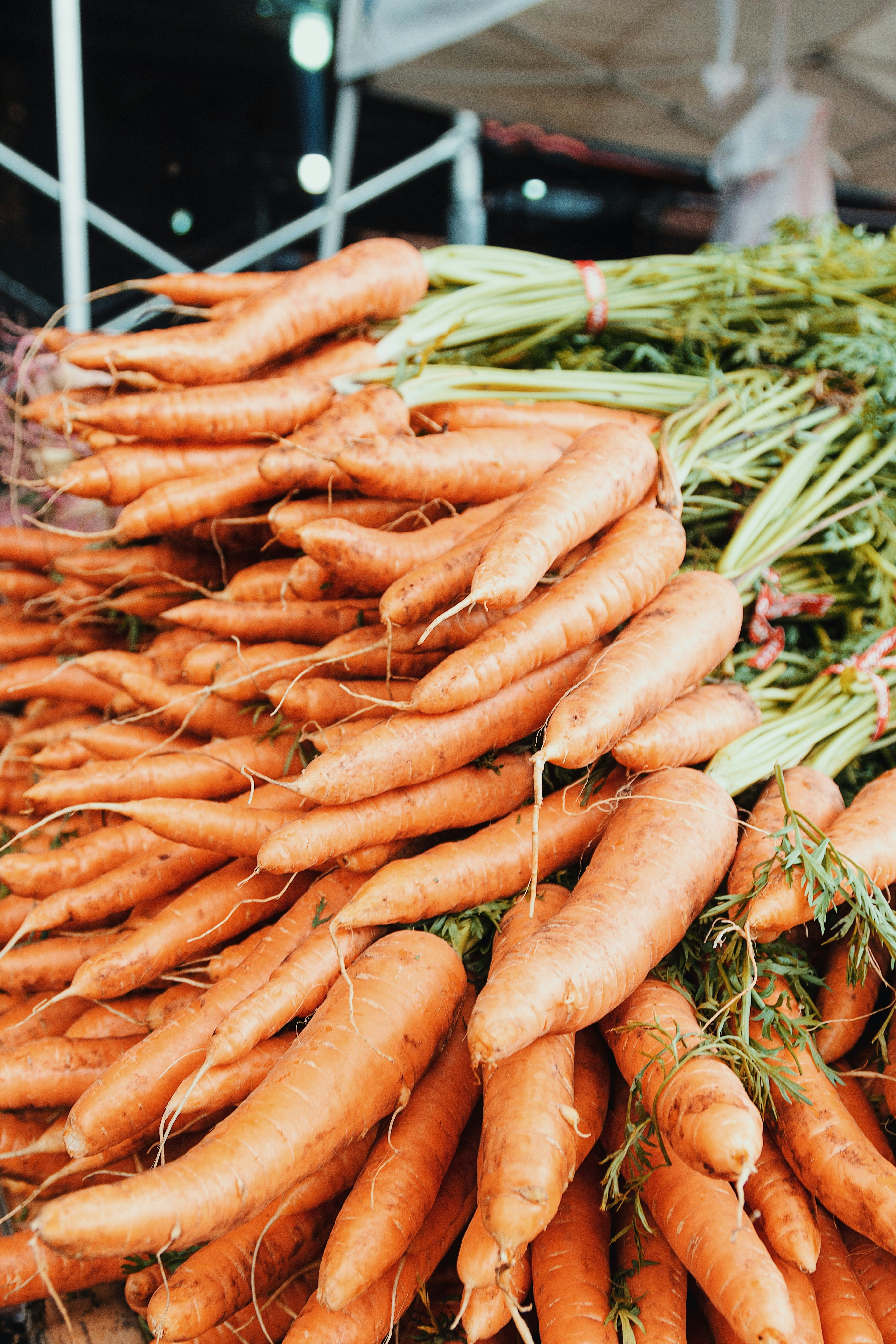 Photo by futuristicmind